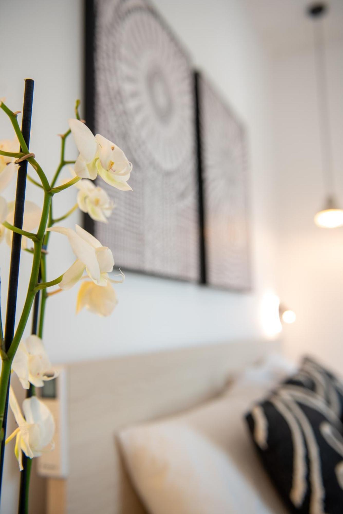 Tiffanys Villas Mykonos Town エクステリア 写真
